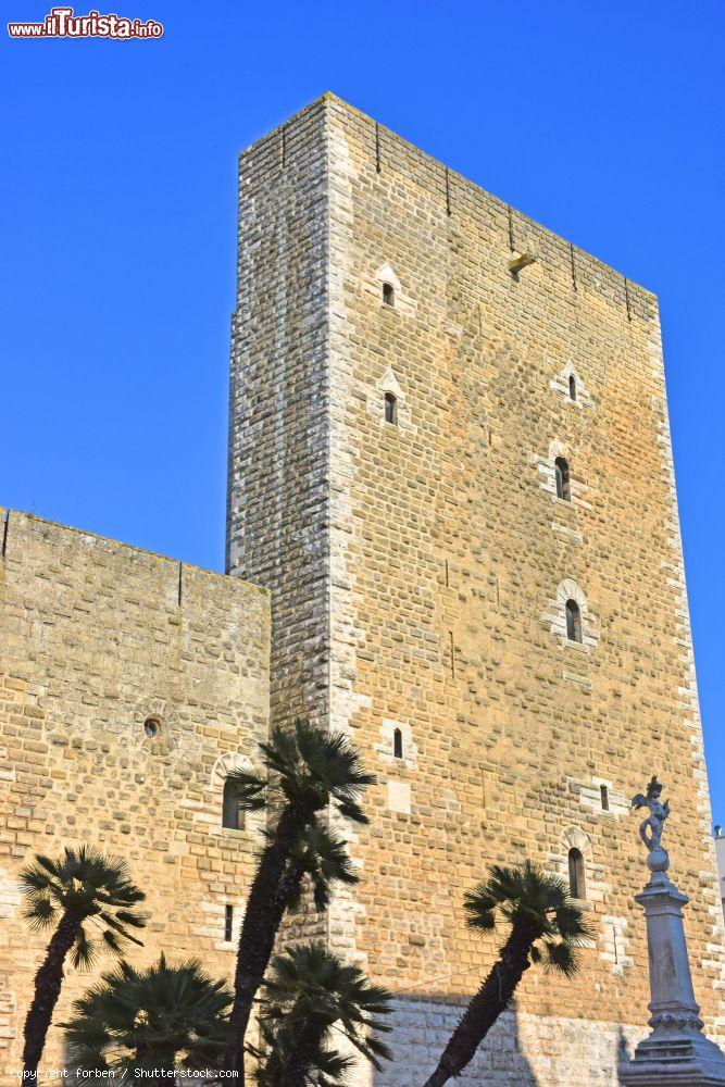 Immagine Le mura esterne del castello di Gioia del Colle,  Bari, Puglia. Situato nel centro storico del Comune, è uno degli edifici simbolo della cittadina che sorge sull'altopiano delle Murge - © forben / Shutterstock.com