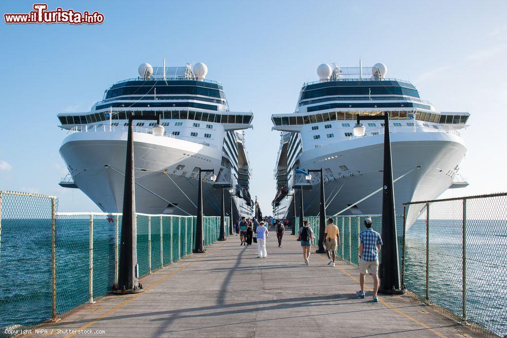 Immagine Le navi da crociera Celebrity Silhouette e Eclipse ormeggiate al porto di Basseterre, St. Kitts and Nevis, Indie Occidentali. Questa località è particolarmente animata durante il periodo delle crociere che fanno sosta qui lungo l'itinerario nei mari caraibici - © NAPA / Shutterstock.com