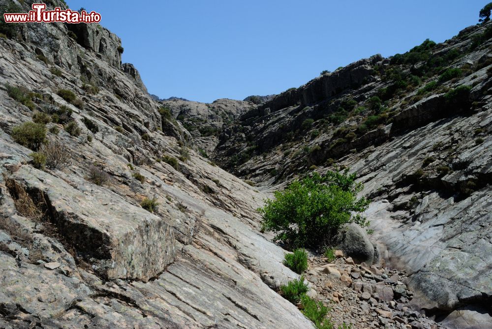 Immagine Le pareti di roccia del canyon di Oridda vicino a Villacidro in Sardegna