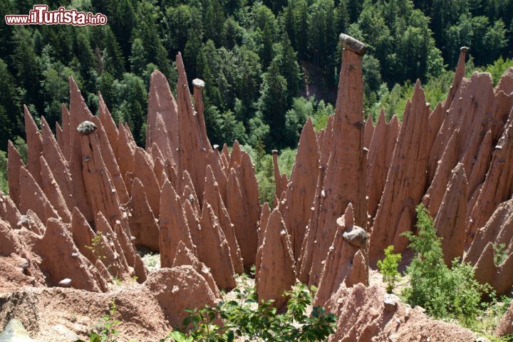 Immagine Le particolari piramidi di Renon guglie di terra vicino a Bolzano- © haraldmuc / Shutterstock.com