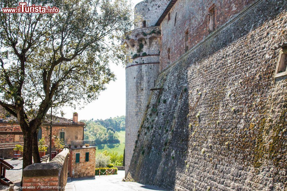 Immagine Le possenti mura del castello medievale di Trequanda, provincia di Siena, Toscana. Edificata con pianta irregolare, la rocca sorge su una rupe all'ingresso del centro storico e domina tutta la valle circostante - © lauradibi / Shutterstock.com