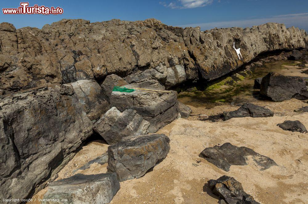 Immagine Le rocce di Bamburgh con il dipinto del Cervo Bianco - © coxy58 / Shutterstock.com