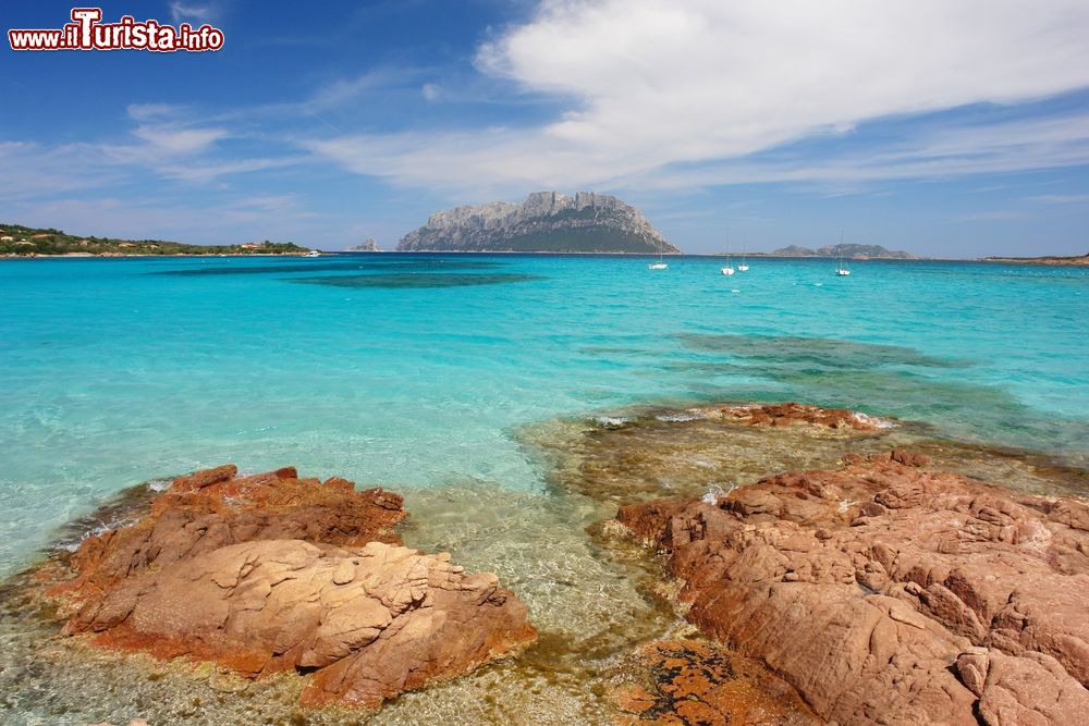 Immagine Le rocce rosse e il mare limpido della spiaggia di Porto Istana in Sardegna, la Tavolara sullo sfondo