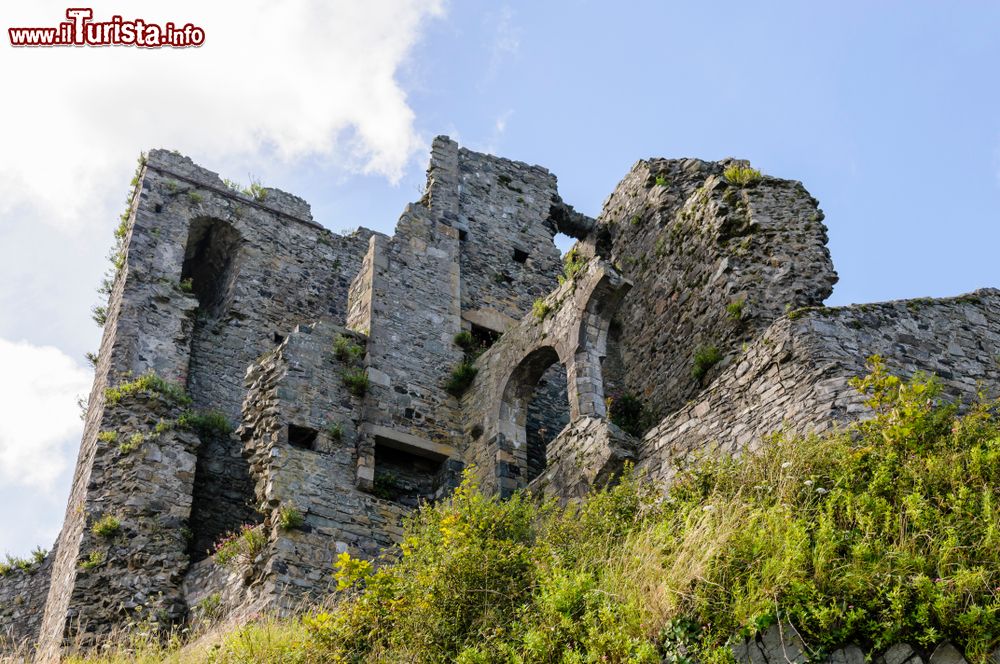 Immagine Le rovine del Carlingford Castle in Irlanda