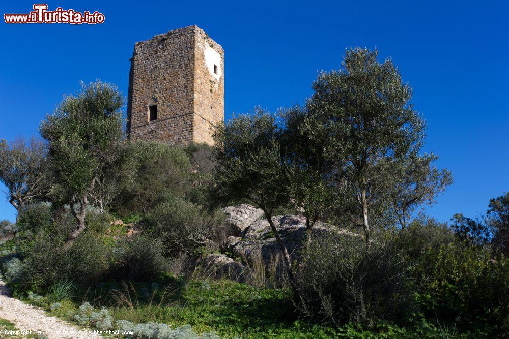 Immagine Le rovine del Castello Doria, una delle attrazioni di Santa Maria Coghinas in Sardegna - © Maurizio Biso / Shutterstock.com