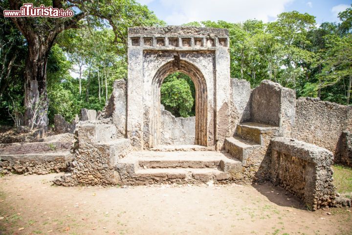 Immagine Le rovine di Gede, antica città swahili abbandonata nel Settecento. Il sito è oggi uno dei più importanti riferimenti archeologici della costa del Kenya - foto © PerseoMedusa / Shutterstock.com