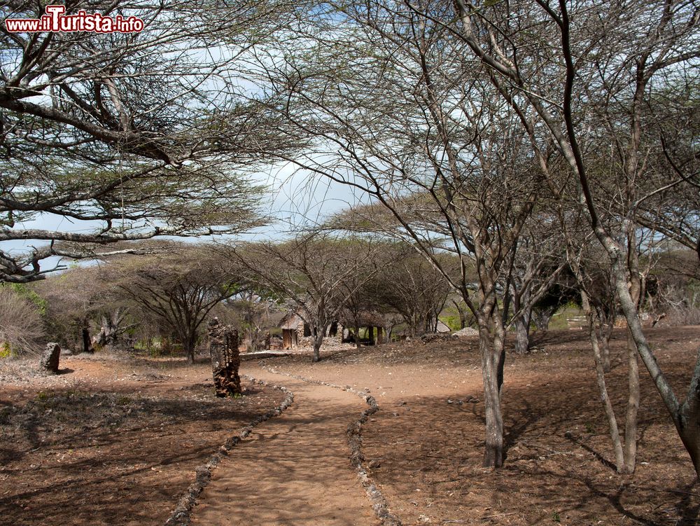 Immagine Le rovine di Tawka, sud di Manda Island, distretto di Lamu, Kenya. Questo sito archeologico porta la firma della cultura swahili: si tratta di un villaggio che venne misteriosamente abbandonato circa 350 anni fa.