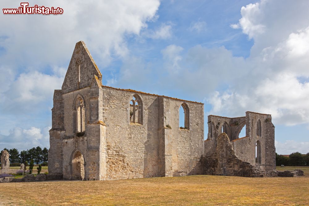 Immagine Le rovine di un'abbazia cistercense sull'isola di Ré, Francia. L'architettura gotica si riscontra nella forma delle aperture che si affacciano sui campi dorati.