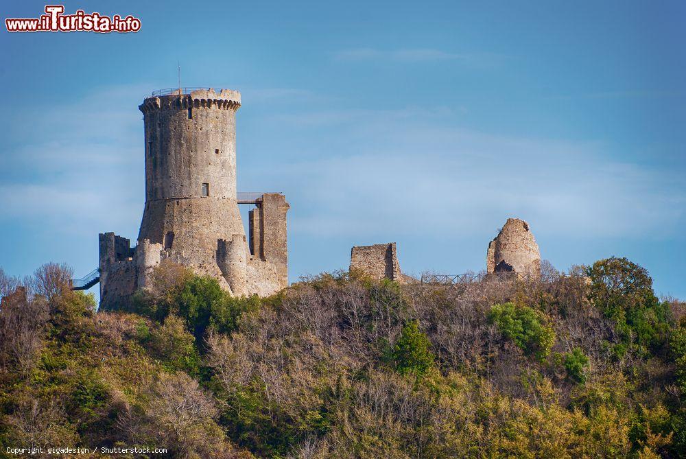 Immagine Le rovine medievali di Elea-Velia, a Marina di Ascea, in Campania - © gigadesign / Shutterstock.com