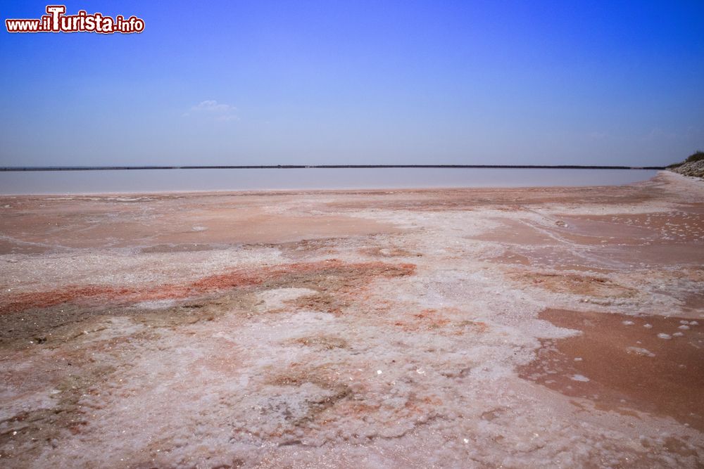 Immagine Le saline colorate di Santa Margherita di Savoia in Puglia