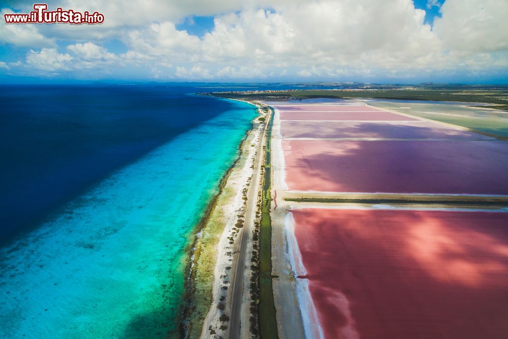 Immagine Le saline di Bonaire, Antille olandesi. Con le loro sfumature, le saline dell'isola sembrano la tavolozza di un pittore.