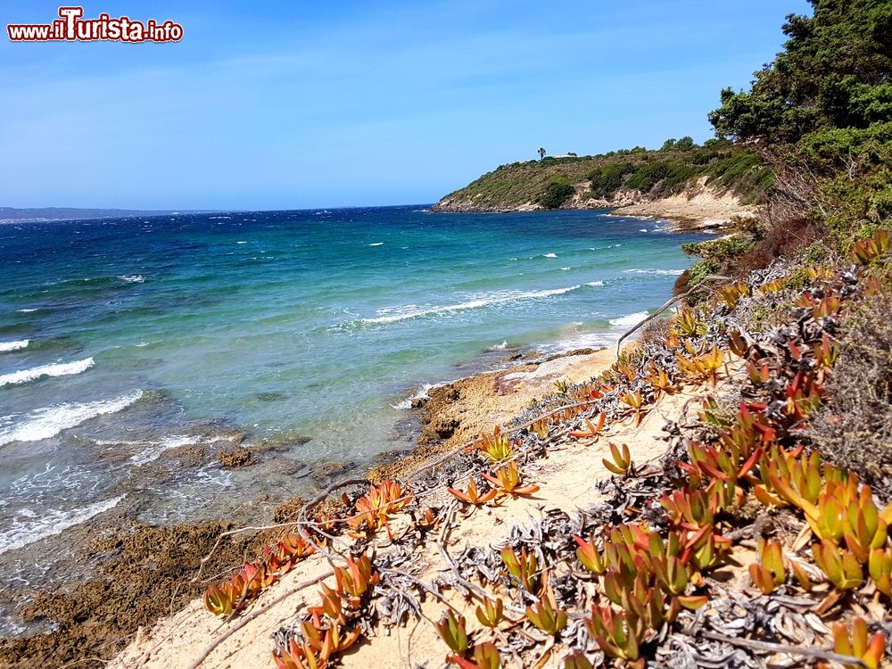 Immagine Le Saline di Calasetta, Sardegna: si tratta di una delle spiagge più grandi e belle del borgo. Si presenta con sabbia di colore bianco a grani fini con dune ricoperte di vegetazione che la separano dalle saline alle sue spalle.