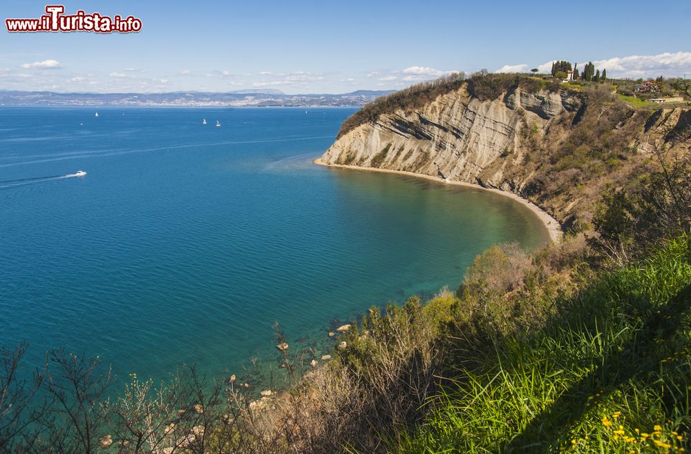Immagine Le scogliere di Strugnano (Strunjan) in Istria, la costa rocciosa della Slovenia