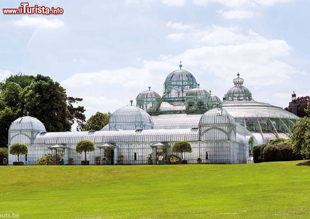 Immagine Le Serre Reali di Laeken a Bruxelles in Belgio - © www.karinborghouts.be