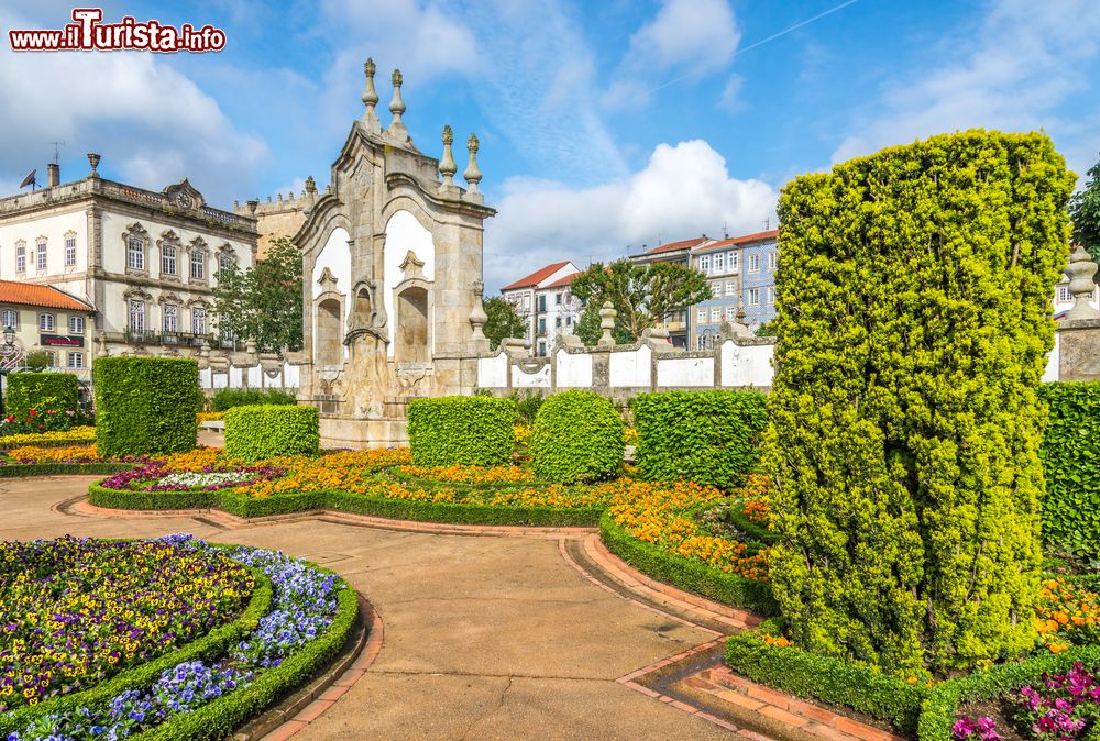 Immagine Le siepi dei giardini botanici di Barcelos, distretto di Braga, Portogallo.