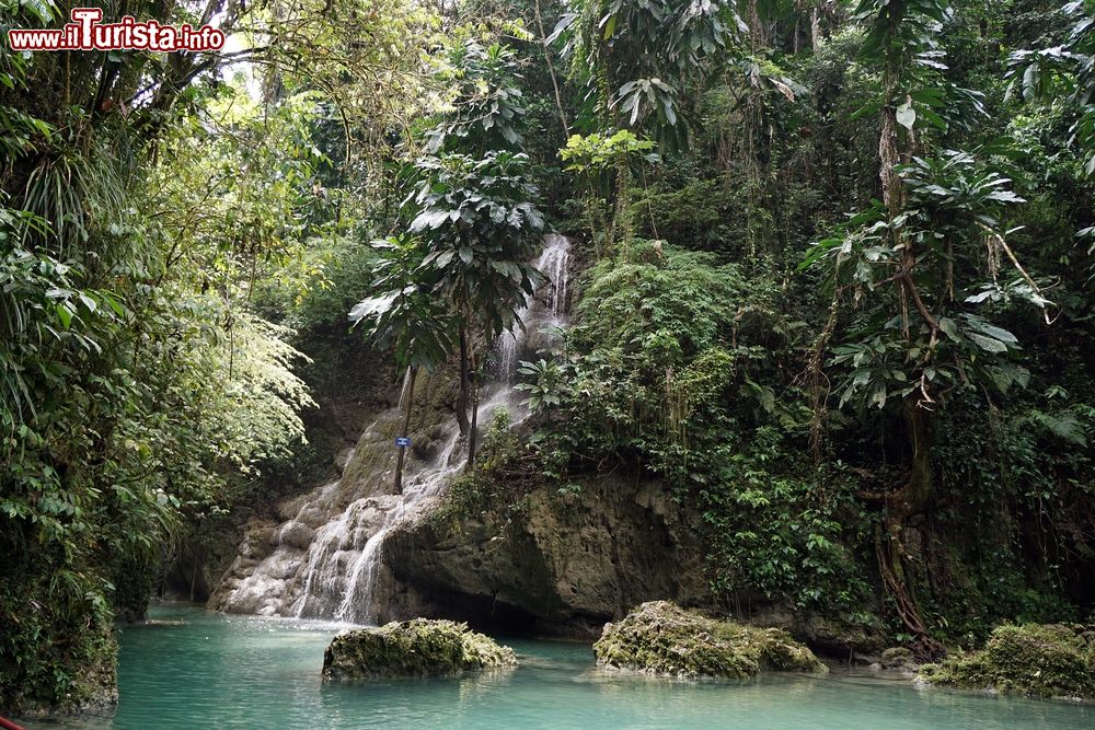 Immagine Le Somerset Falls a Port Antonio, Giamaica. Si trovano a circa 3 km a est di Hope Bay, nascoste in una gola profonda fra felci e alta vegetazione.