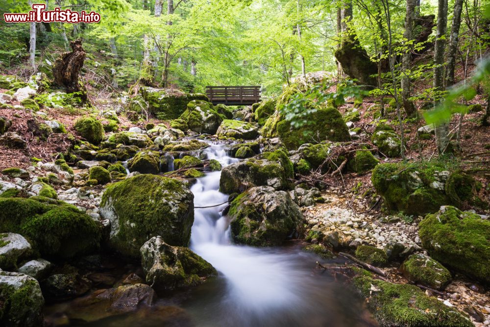 Immagine Le sorgenti della Valle Jannanghera vicino a Civitella Alfedena, nel Parco Nazionale d'Abruzzo, Lazio e Molise