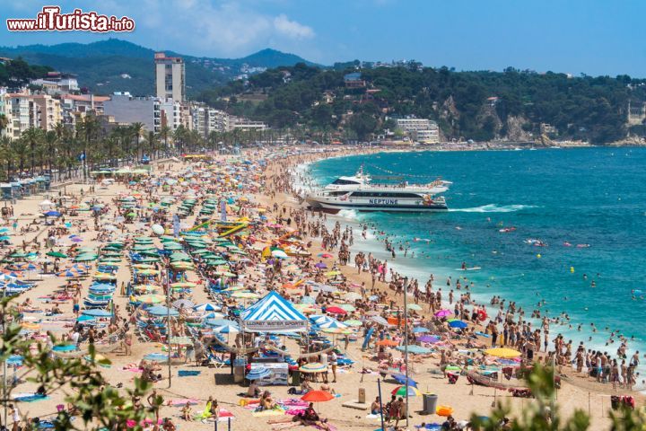 Immagine Le spiagge di Lloret de Mar, lungo la Costa Brava, sono tante e per tutti i gusti, ma hanno una caratteristica comune: si affacciano su un bel Mediterraneo turchese, e sono tendenzialmente affollate. Cala Morisca, Cala Canyelles, Playa de Lloret, e Cala Sa Boadella sono solo alcune delle spiagge che compongono i 7 km di costa della località - © funkyfrogstock / Shutterstock.com