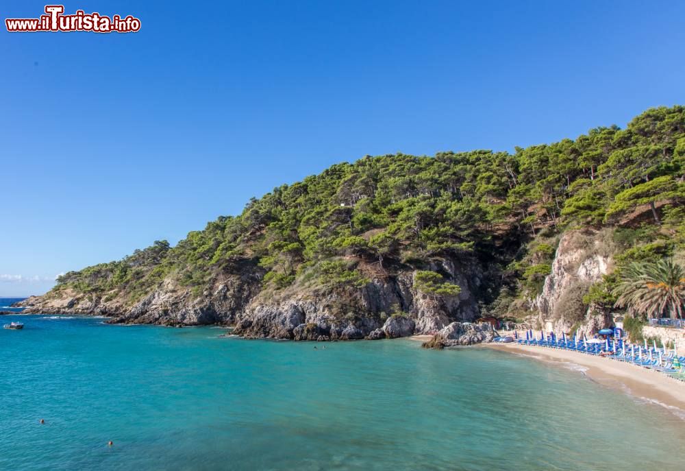 Immagine Una delle spiagge più belle delle Isole Tremiti: siamo a Cala delle Arene sull'isola di San Domino