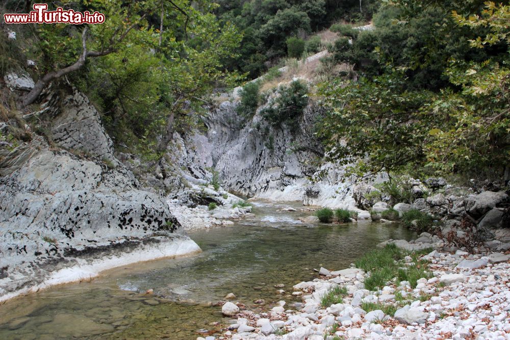 Immagine Le sponde del fiume Acheronte nei pressi della porta di Hades a Preveza, Grecia. Siamo nel nord-ovest della Grecia, all'imboccatura del golfo di Ambracia.