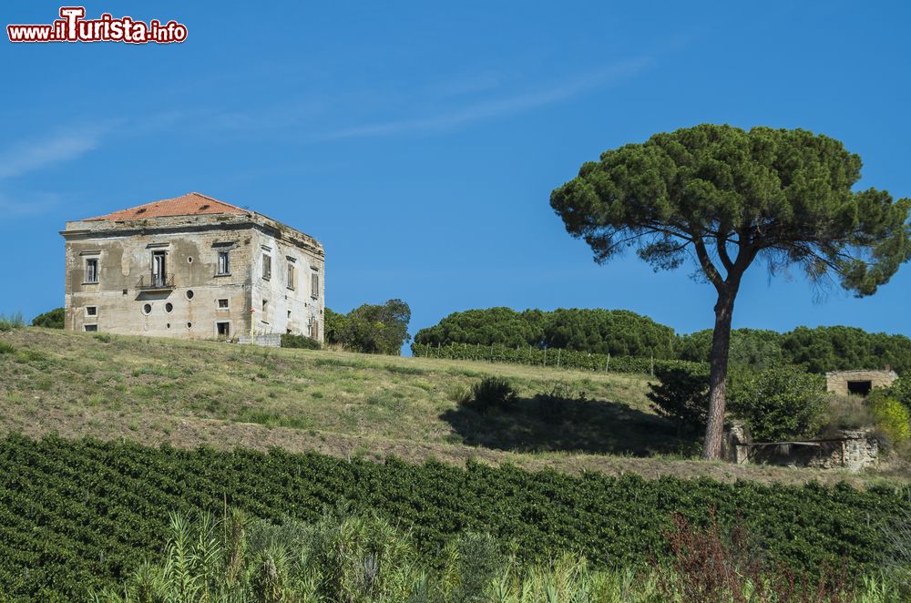 Immagine Le terre del vino Aglianico nei dintorni di Melfi in Basilicata