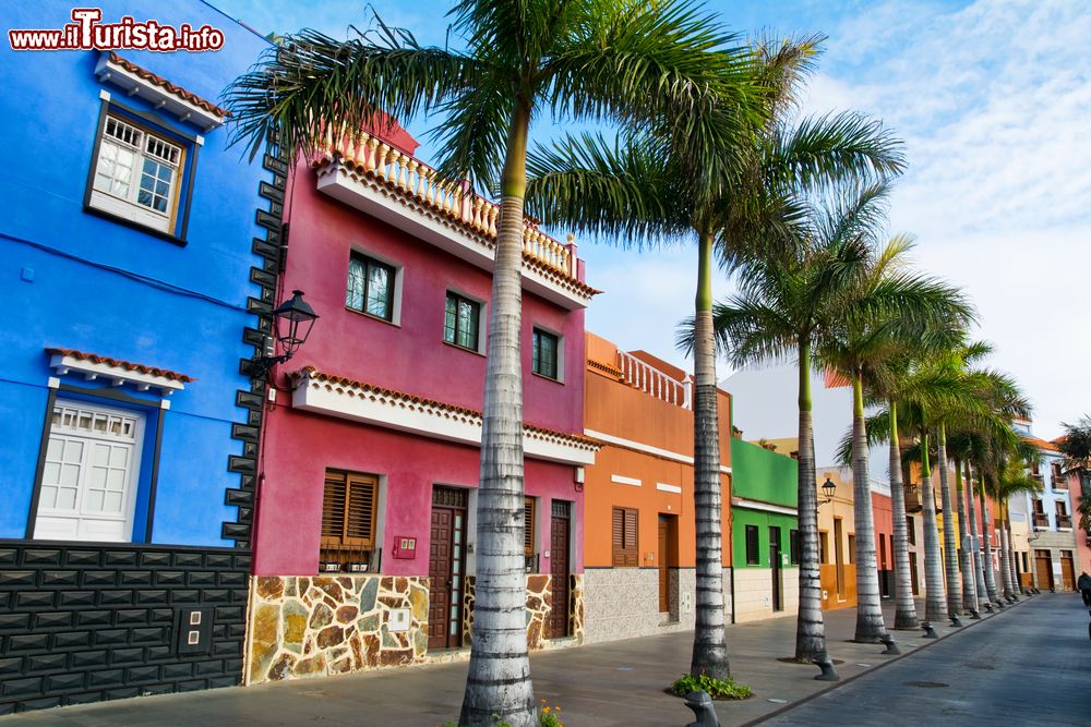Immagine Le tipiche case colorate della cittadina di Puerto de la Cruz (Spagna) affacciate su un viale alberato.