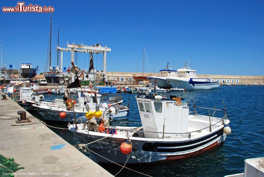 Immagine Le tradizionali barche da pesca al porto di Carboneras, provincia di Almeria, Spagna - © Caron Badkin / Shutterstock.com