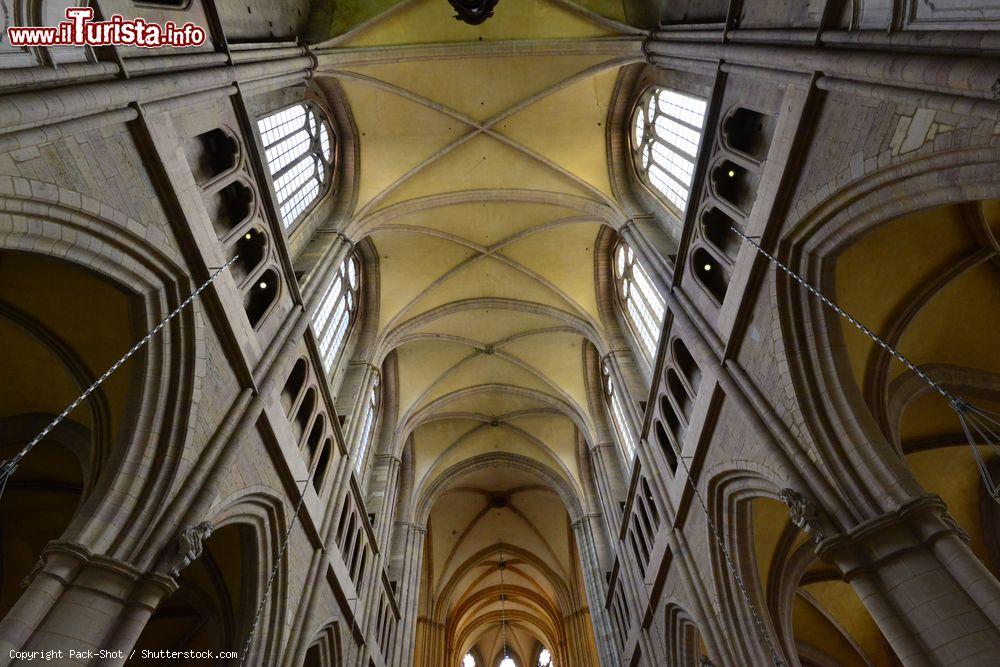 Immagine Le volte della cattedrale di San Benigno a Digione, Francia - © Pack-Shot / Shutterstock.com