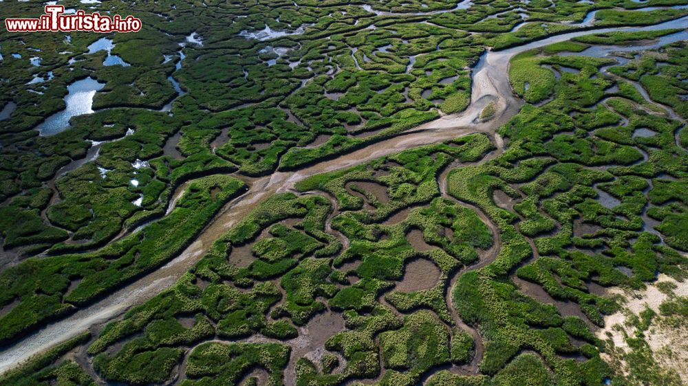 Immagine Le zone paludosi del Norfolk nell'est dell'Inghilterra