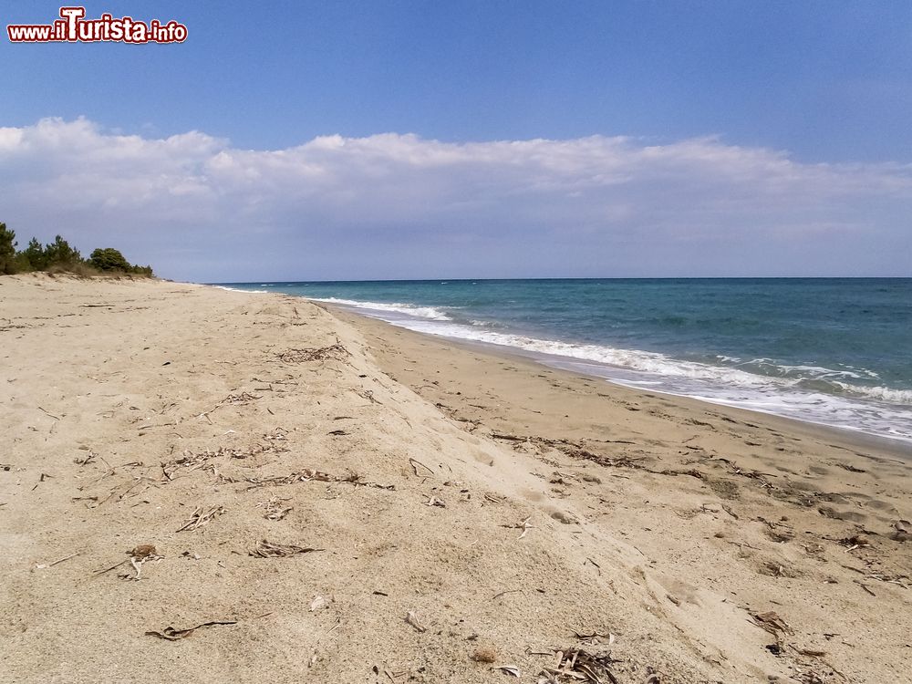 Immagine Lido pInia, la bella spiaggia di Ghisonaccia, costa est della Corsica (Francia)