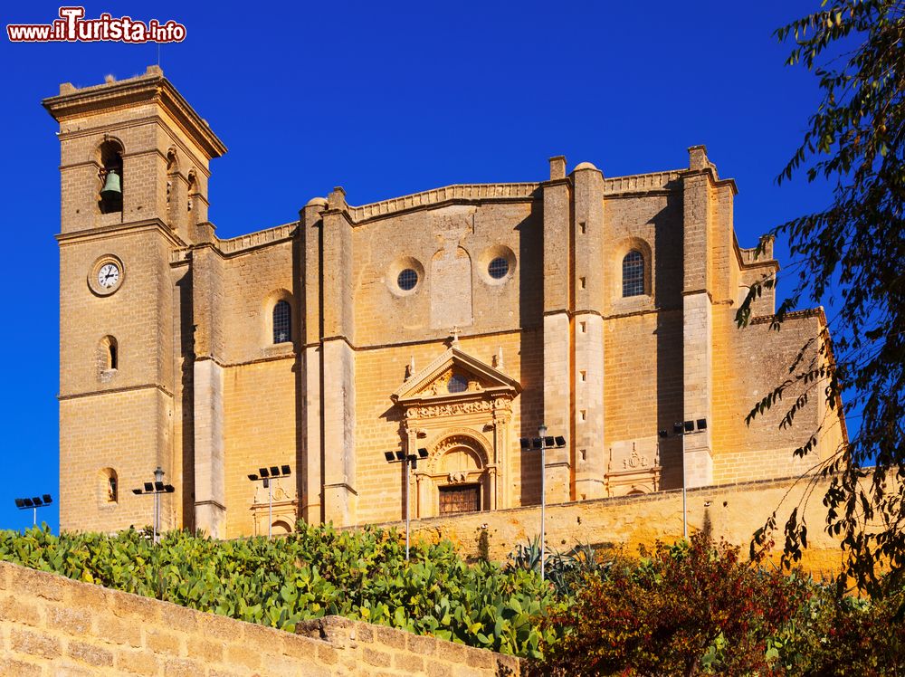 Immagine L'Iglesia Colegial di Osuna, Andalusia, Spagna. Costruita sull'alto di un colle fra il 1530 e il 1539, si presenta con forme rinascimentali plateresche: al suo interno ospita opere del pittore noto come lo Spagnoletto.