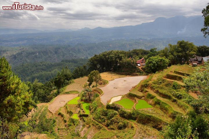 Immagine Il paesaggio della valle di Limbong e le coltivazioni a terrazzamenti di questa località situata nella provincia di Sulawesi Selatan (Sulawesi Meridionale), in Indonesia - foto © Marisa Estivill / Shutterstock.com