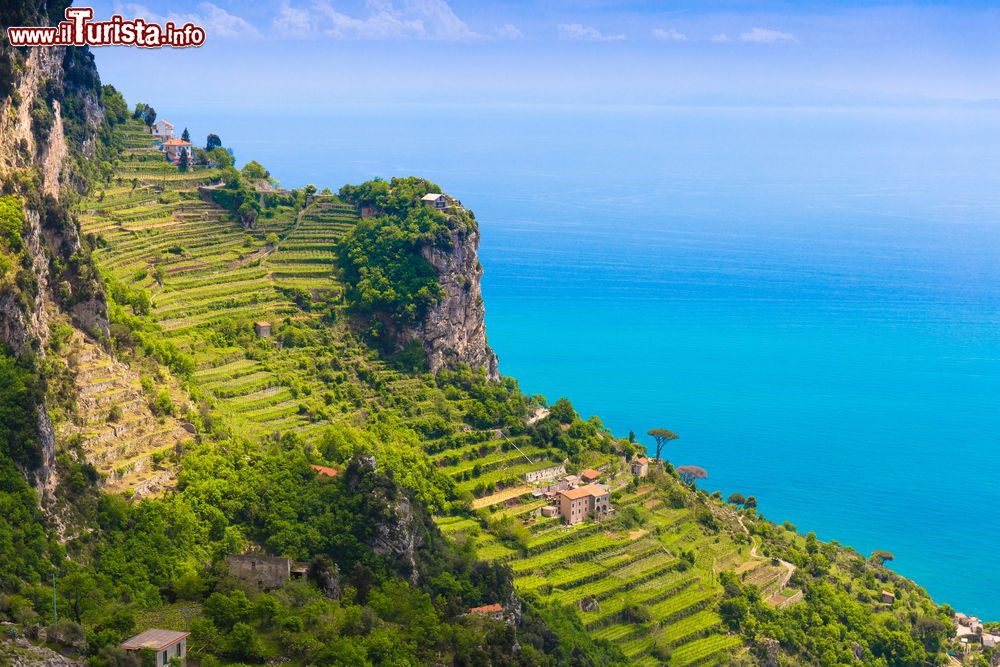 Immagine Limoneti sopra il borgo di Praiano lungo il Sentiero degli Dei, Costiera Amalfitana