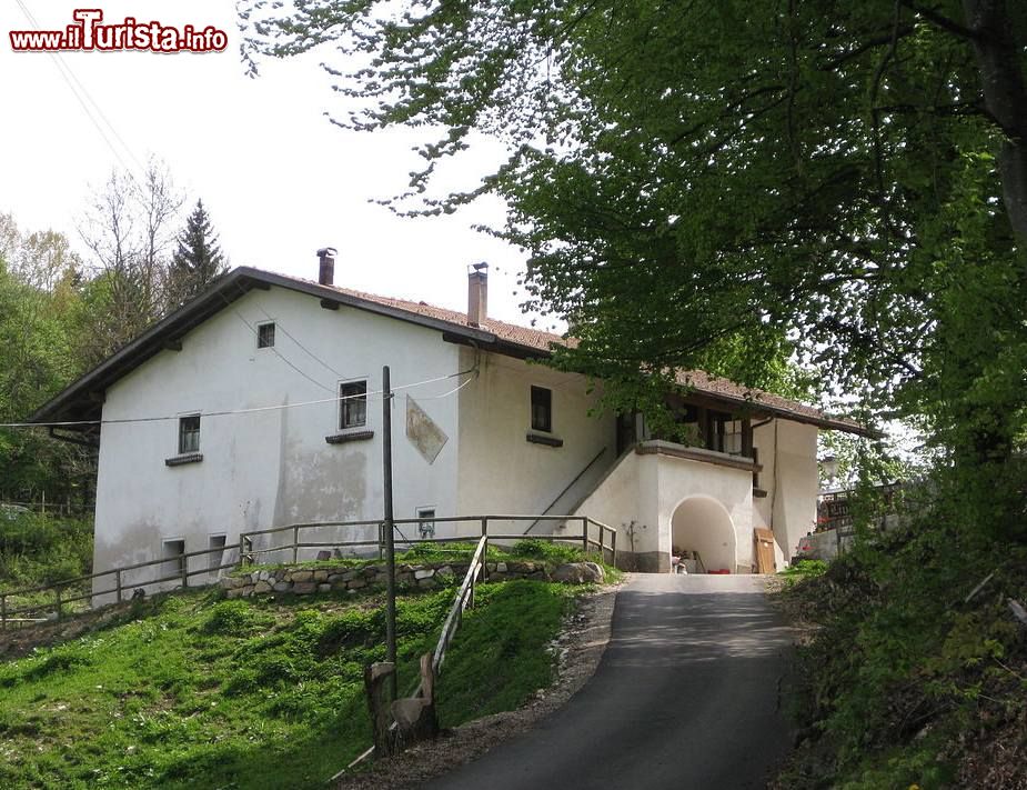 Immagine Lindenhof in Unterfennberg, siamo nei pressi di Magrè sulla Strada del Vino in Alto Adige