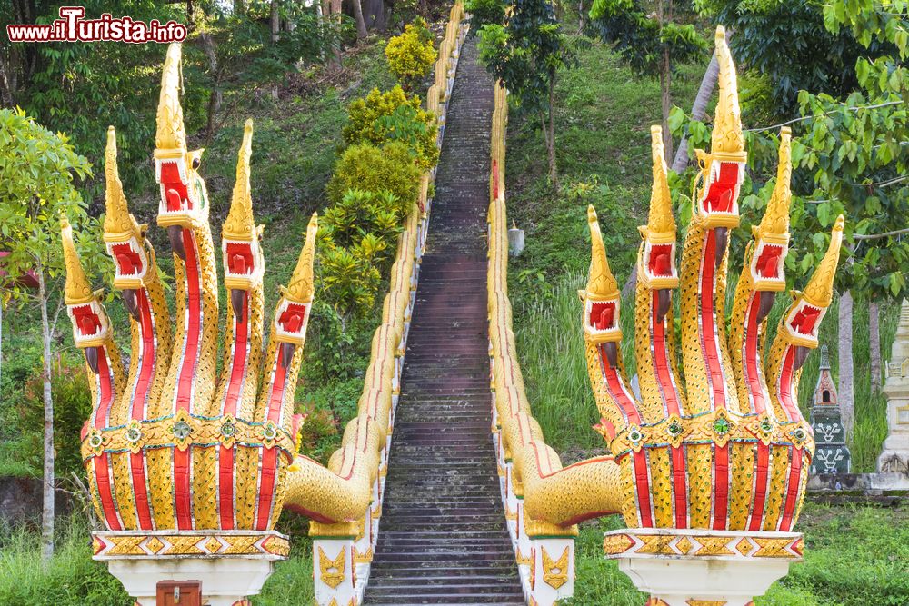 Immagine L'ingresso a un piccolo tempio in cima a una collina a Koh Pha Ngan, Thailandia. Questo luogo di culto è custodito dalla giungla più autentica.