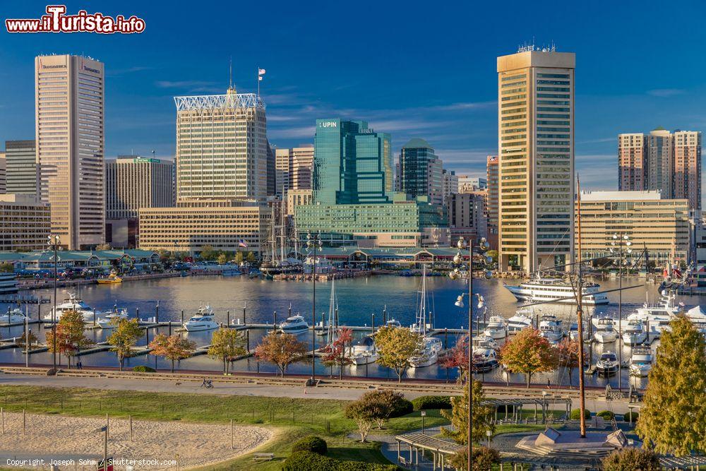 Immagine L'Inner Harbor di Baltimora (Stati Uniti d'America) nel tardo pomeriggio con la skyline cittadina visti dal Federal Park Hill - © Joseph Sohm / Shutterstock.com