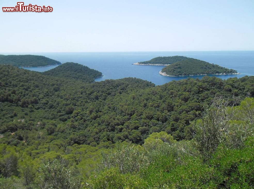 Immagine L'isola selvaggia di Mrcara in Dalmazia - © August Dominus - CC BY-SA 3.0, Poveznica