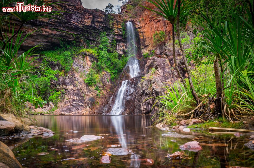 Immagine Litchfield, parco Nazionale: le Tjaynera Falls del torrente Sandy Creek, raggiungibili con un fuoristrada ed un sentiere a piedi