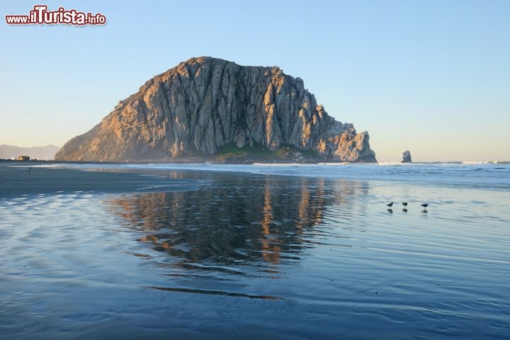 Immagine Lo scoglio El Moro a Morro Bay, California, con la spiaggia. A scoprirlo fu il navigatore portoghese Juan Rodriguez Cabrillo in esplorazione lungo la costa del Pacifico - © saraporn / Shutterstock.com