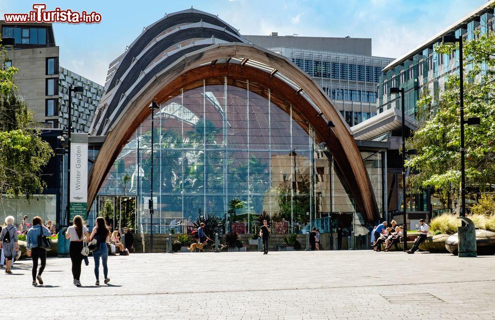 Immagine Lo Sheffield Winter Garden visto da Piazza Tudor, Yorkshire, Inghilterra. Si tratta di una delle più grandi serre temperate costruite in Inghilterra: al suo interno accoglie più di 2 mila piante provenienti da tutto il mondo - © Jeanette Teare / Shutterstock.com