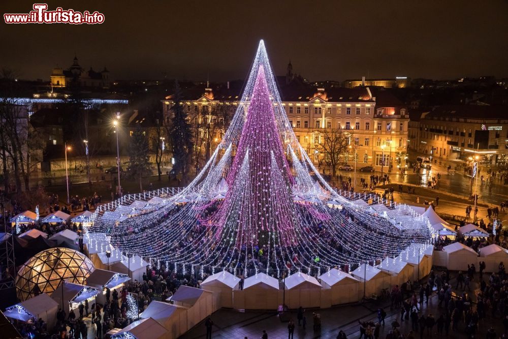 Immagine Lo splendido albero di Natale di Vilnius (Lituania) illuminato da 70.000 lampadine e decorato con 900 giocattoli di Natale. - © Saulius Ziura