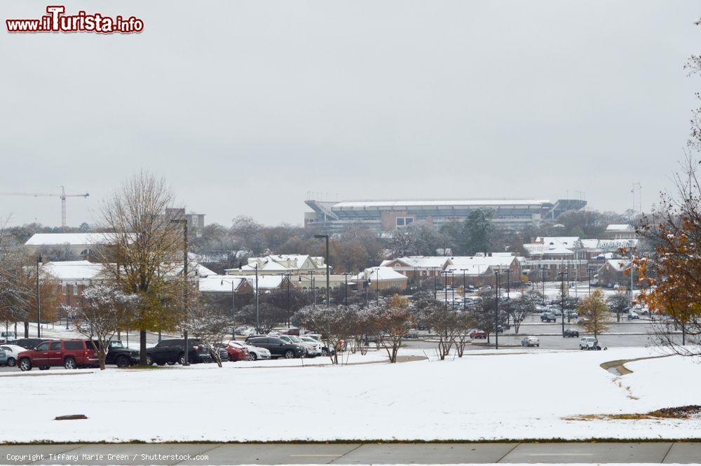 Immagine Lo stadio Bryant Denny di Tuscaloosa visto in una giornata di neve durante il campionato di football, Alabama (USA) - © Tiffany Marie Green / Shutterstock.com