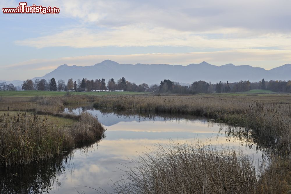 Immagine Lo stagno di Murnau in Baviera, sullo sfondo le Alpi