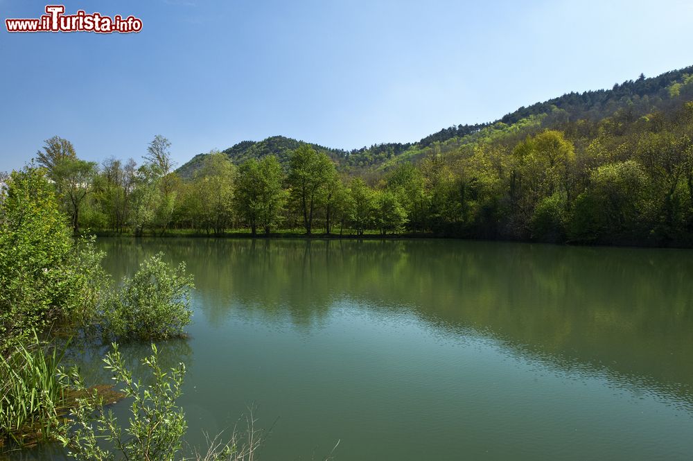 Immagine Lo stagno presso il Monte Orfano di Rovato, provincia di Brescia