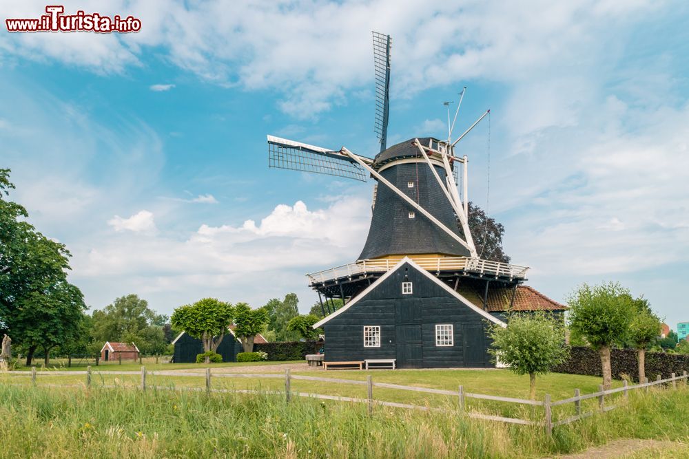 Immagine Lo storico mulino a vento di Pelmolen, regione di Overijssel, Olanda.