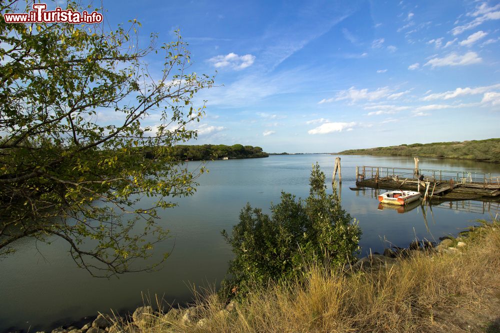 Immagine Località Madonnina vicino a Lido di Volano. Parco Regionale del Delta del Po