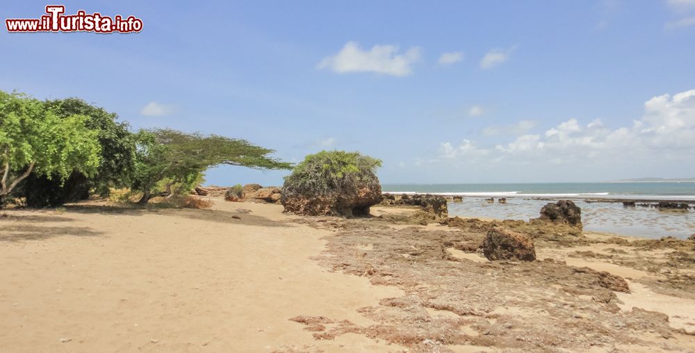Immagine L'Oceano Indiano lambisce le coste dell'isola di Manda, Kenya: avvolto da fitte foreste di mangrovie, questo litorale offre panorami mozzafiato.