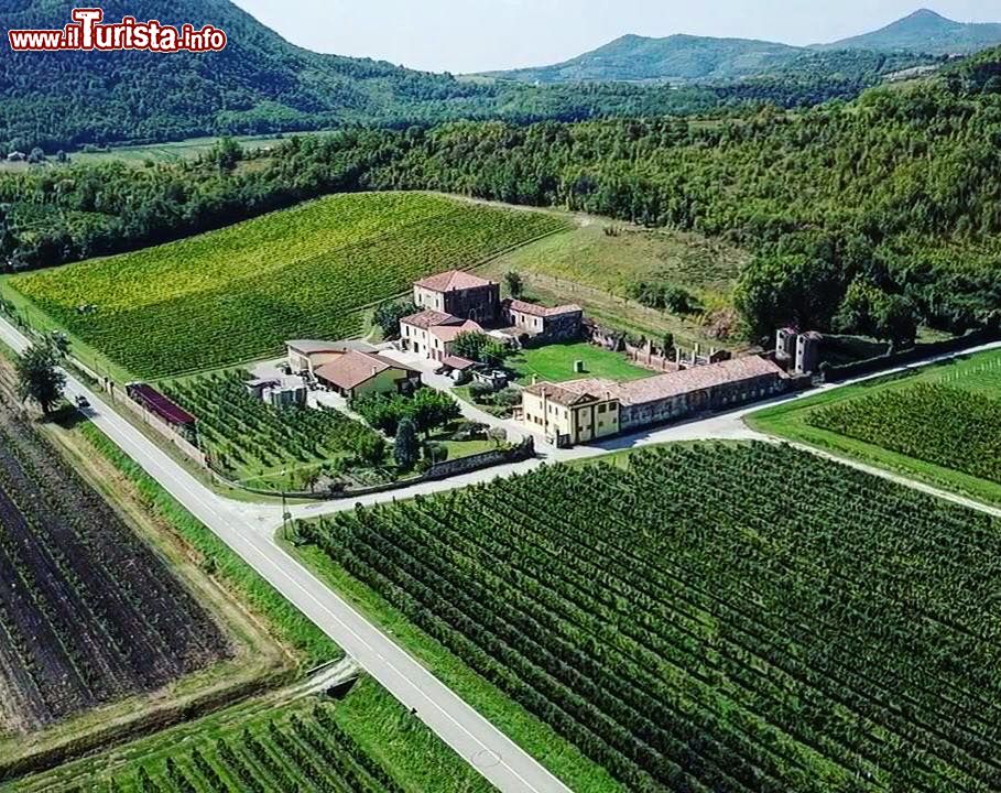 Immagine Loreggian vini, l'azienda vinicola sui Colli Euganei, Arqua Petrarca