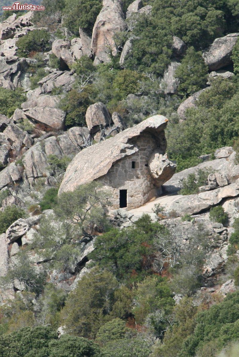 Immagine L'Orio di i CANNI vicino a Sotta in Corsica - © Commune de Sotta - CC BY-SA 4.0, Wikipedia