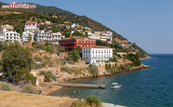 Immagine Loutra Edipsou a nord di Eubea, Grecia - Dirigendosi in direzione nord da Chalkida, le montagne lasciano spazio a quache isolata comunità rurale, a vigneti e capre selvatiche che pascolano libere. Questa zona dell'isola è famosa per le sorgenti termali che hanno fatto la fortuna di Loutra Edipsou, "cantata" sin dai tempi antichi da filosofi e poeti per le sue acque dal carattere curativo © Lefteris Papaulakis / Shutterstock.com